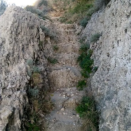 Irene Localita Il Conte * Tropea